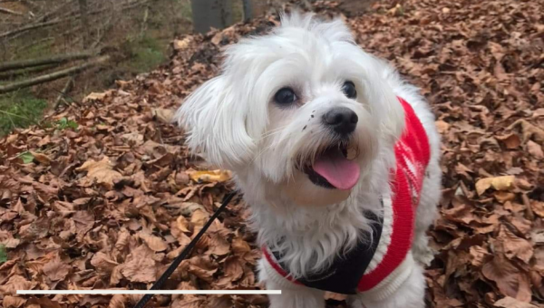 W OBIEKTYWIE RODZICA  Fot. Pani Edyta Obrzud #zostanwdomu